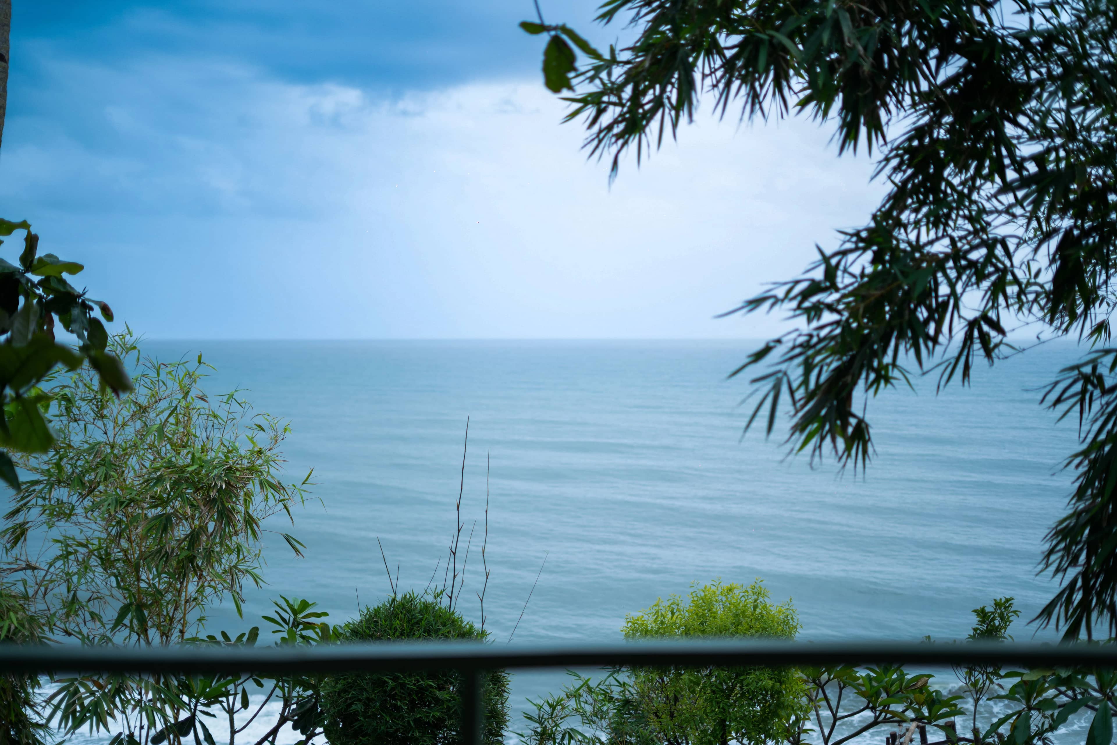 Nature Surroundings